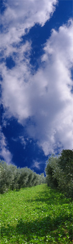 Terra e Cielo